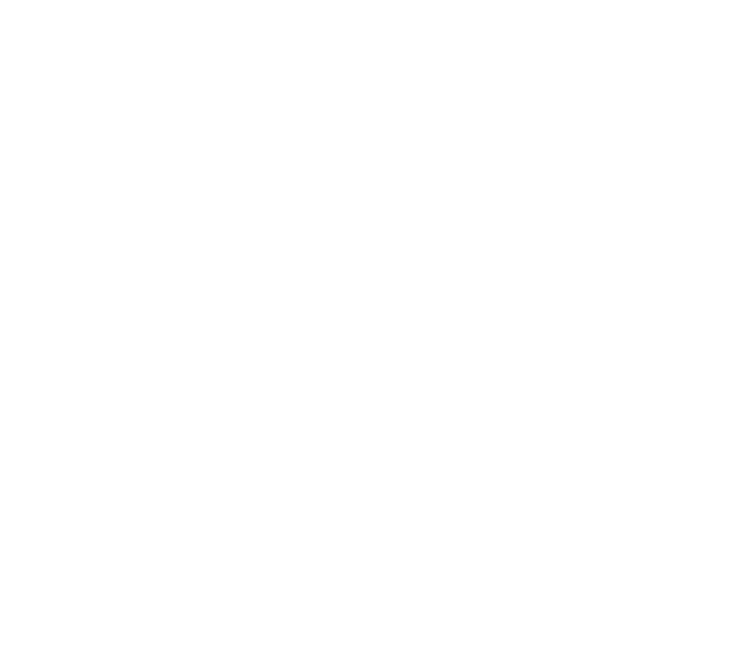 Go Fly Paraquedismo